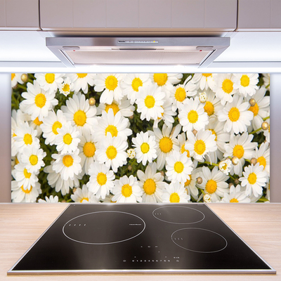 Vægpanel køkken Daisy Flowers