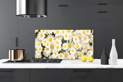 Vægpanel køkken Daisy Flowers