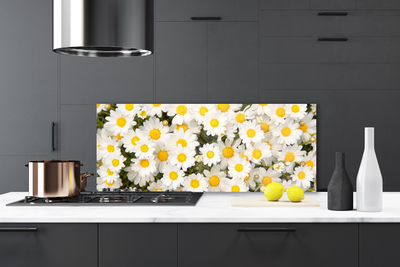 Vægpanel køkken Daisy Flowers