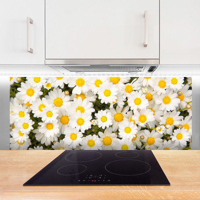 Vægpanel køkken Daisy Flowers