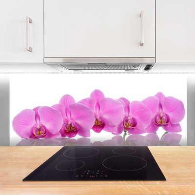 Stænkplader til køkken Pink Orchid Flowers