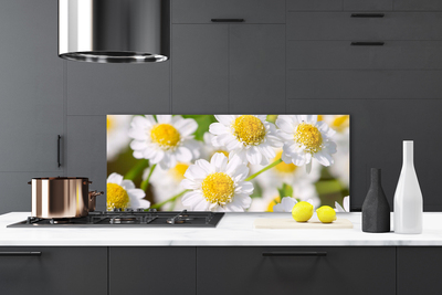 Stænkplade glas Blomster Daisy Natur