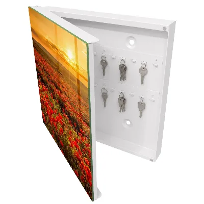 Nøgleskab til hjemmet Valmuemarker