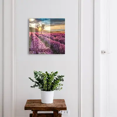 Nøgleboks i farven lavendel solnedgang