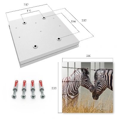Nøgleskab med motiv af zebraer