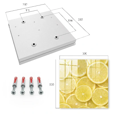 Nøgleskab Citronskiver
