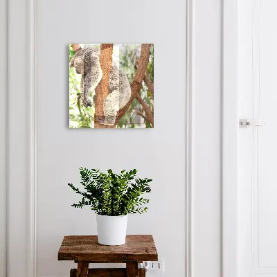 Nøgleskab til hjemmet Koala-afslapning