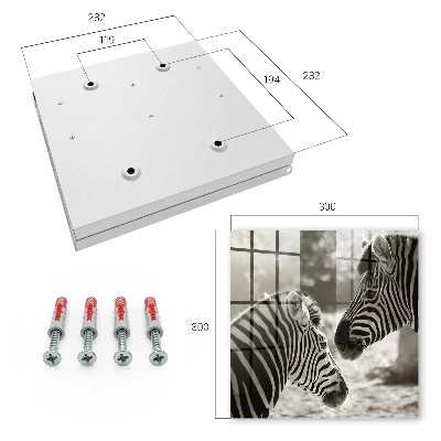 Nøgleskab med motiv af zebraer