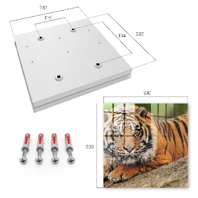Nøgleskab Tiger hviler sig