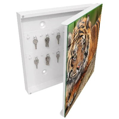 Nøgleskab Tiger hviler sig