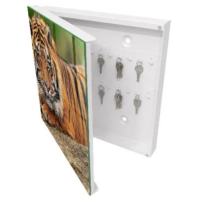 Nøgleskab Tiger hviler sig