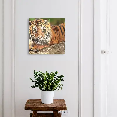 Nøgleskab Tiger hviler sig