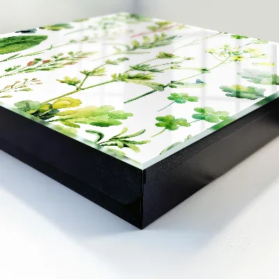Nøgleskab med motiv af planteakvarel