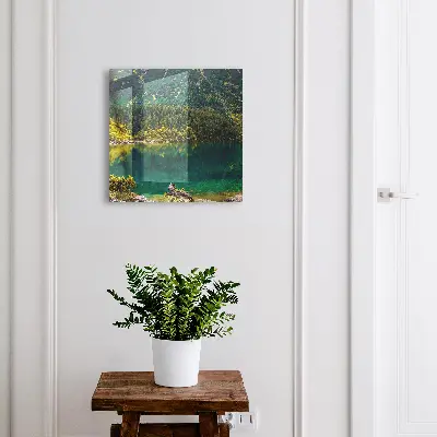 Nøgleskab Bjergidylly
