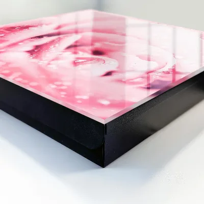 Nøgleskab til hjemmet Rose delikatesse