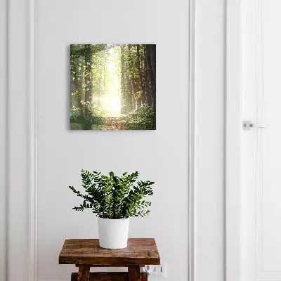 Nøgleboks Skovlandskab