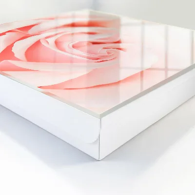 Nøgleskab Romantisk rose