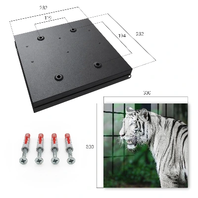 Nøgleboks Hvid tiger