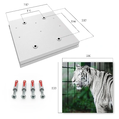 Nøgleboks Hvid tiger