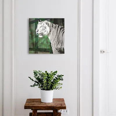 Nøgleboks Hvid tiger