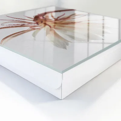 Nøgleskab i naturligt elegant design