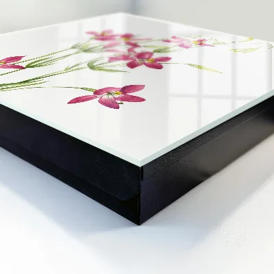 Nøgleskab til hjemmet Lyserøde blomster