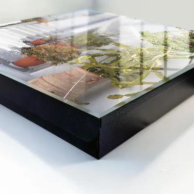 Nøgleskab til hjemmet Trapper med planter