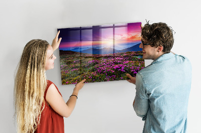 Magnet opslagstavle glas Solopgang blomster