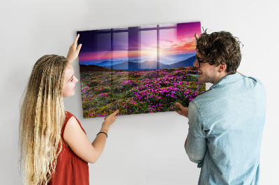 Magnet opslagstavle glas Solopgang blomster