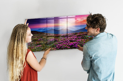 Magnet opslagstavle glas Solopgang blomster