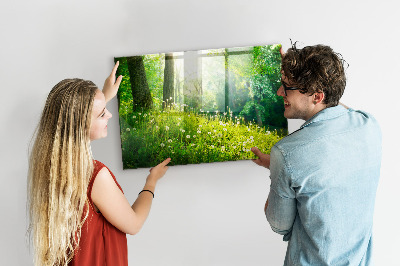 Glas magnet tavle Forårsnatur