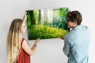 Glas magnet tavle Forårsnatur