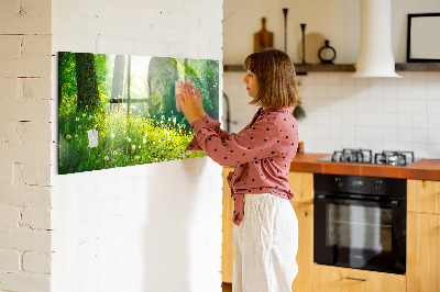 Glas magnet tavle Forårsnatur