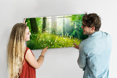 Glas magnet tavle Forårsnatur