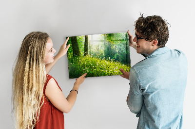 Glas magnet tavle Forårsnatur