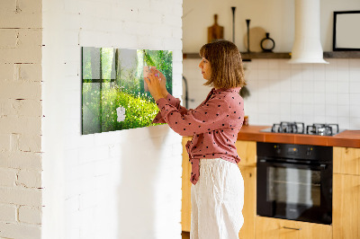 Glas magnet tavle Forårsnatur