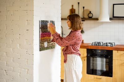 Glas magnet tavle Rækker af krydderier