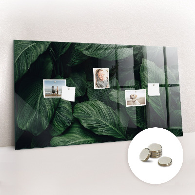 Magnetplade Tropisk monstera