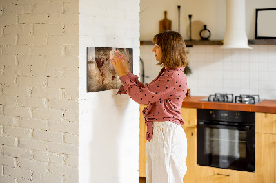 Magnetisk opslagstavle Gammelt verdenskort