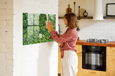 Magnetisk glastavle En skov set fra fugleperspektiv