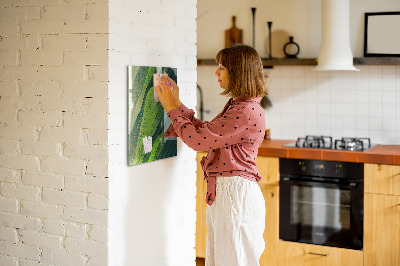 Magnetisk glastavle Naturlandskabslinjer