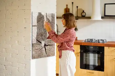 Magnetisk opslagstavle Tørreslette med motiv af tværsnit af en træstamme