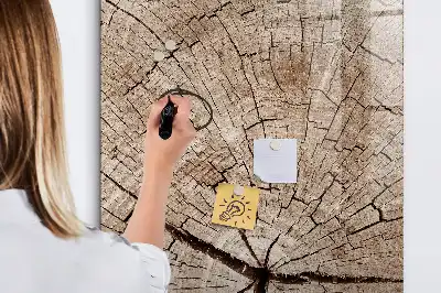 Magnetisk opslagstavle Tørreslette med motiv af tværsnit af en træstamme