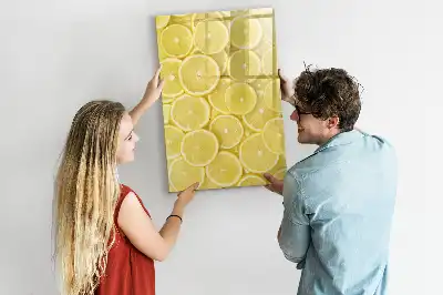 Tørreslette magnetisk board Citronskiver