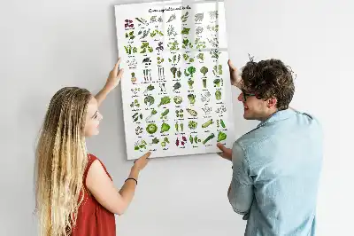Magnetisk whiteboard med motiv af grønne grøntsager