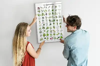 Magnetisk whiteboard med motiv af grønne grøntsager