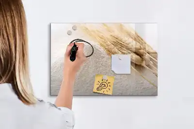Tavle til at tegne magnetisk Mel