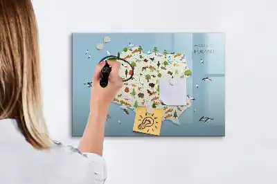 Magnetisk skrivetavle med kort over Polens dyr