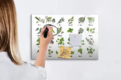 Tavle til at tegne magnetisk Træarter