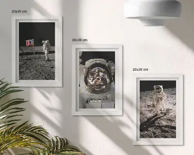 Billedvæg med motiv af astronauter der lander på månen